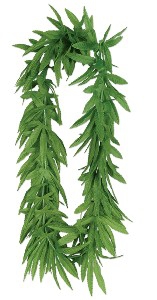 leis-hula-fern-leaf
